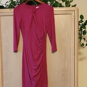 Cache Pink Ruched Long Sleeve Sheath Dress